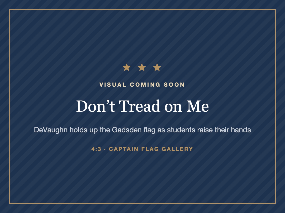 Placeholder: visual coming soon